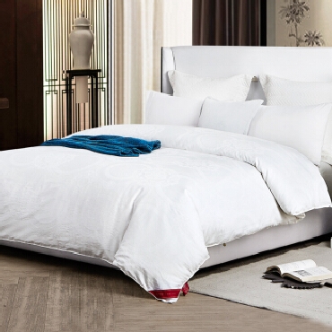 钱皇 被芯 100%桑蚕丝被子 春秋被 优质长丝 纯棉斜纹 桑蚕丝3斤 阳春白雪