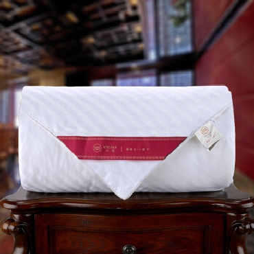 钱皇 被芯 100%桑蚕丝被子 春秋被 桑蚕双宫茧 纯棉面料 白露 蚕丝净重4斤